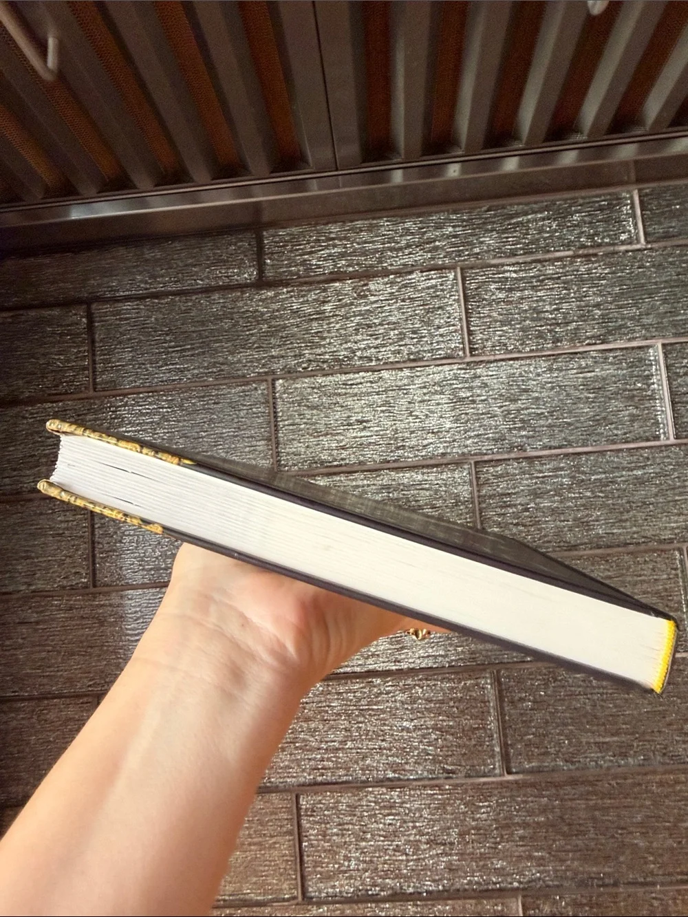 The Unofficial Harry Potter Cookbook Recipes Hogwarts Ministry of Magic Foodie